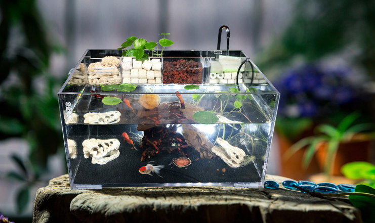 亞克力魚缸制作 亞克力魚缸制作