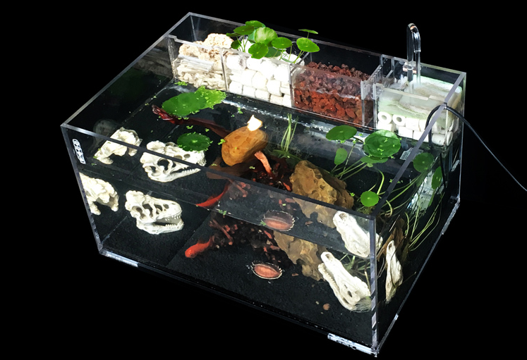 亞克力魚缸制作方法 亞克力魚缸制作方法